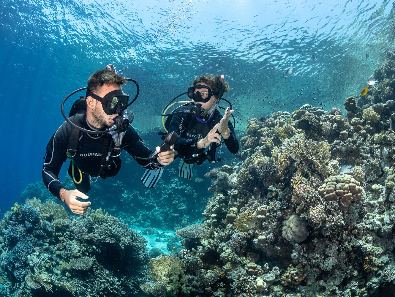 Curso Open Water